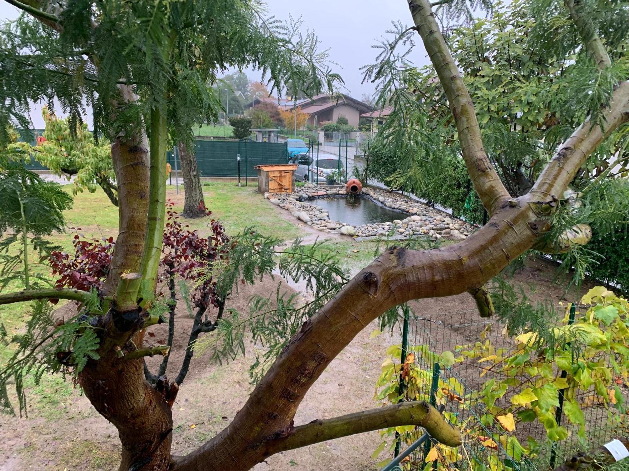 Bed & Breakfast Indi Thelar Villa Guardia Экстерьер фото